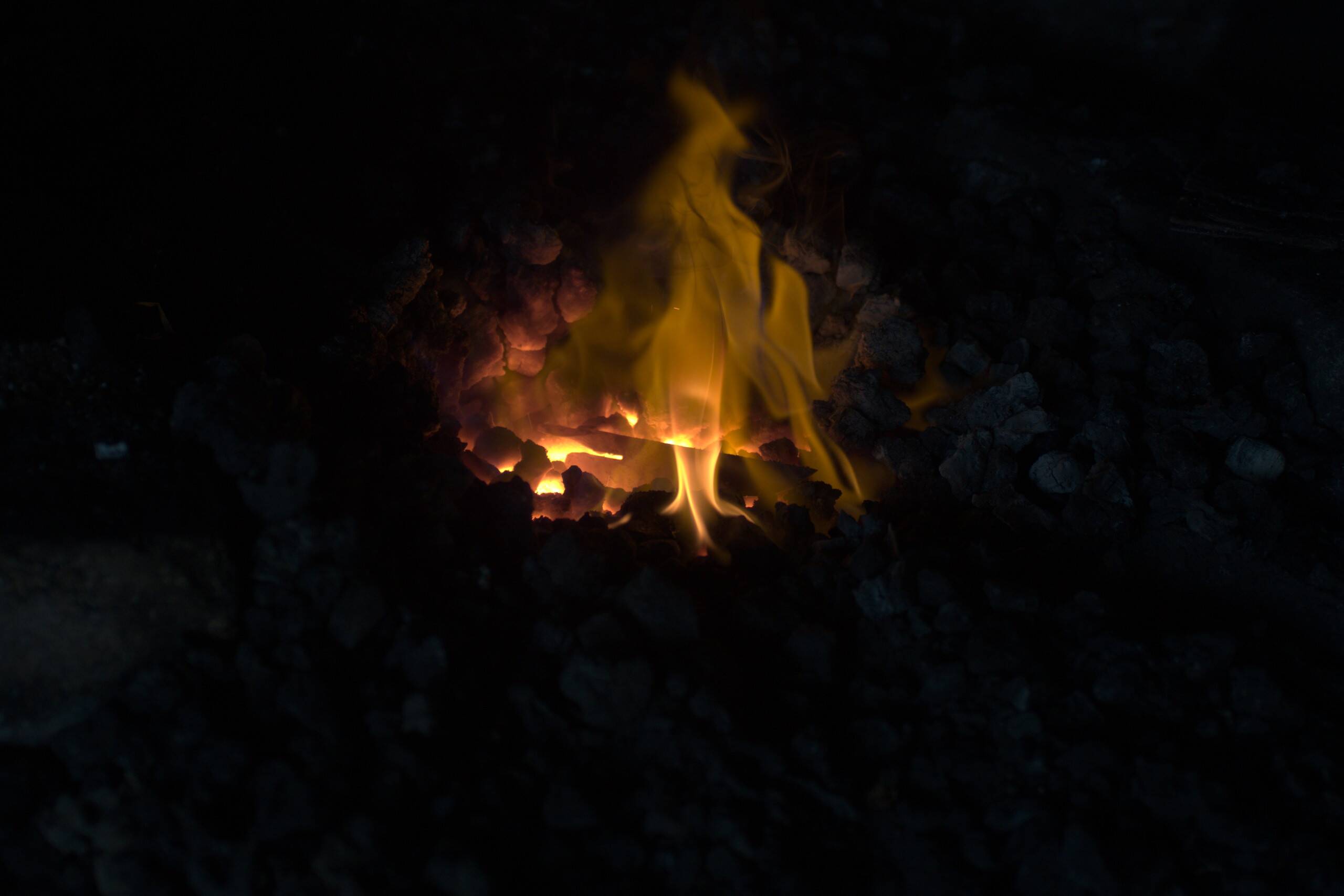 A Barachin knife blade heating in the coals of the forge of blacksmith Daniele Mauro