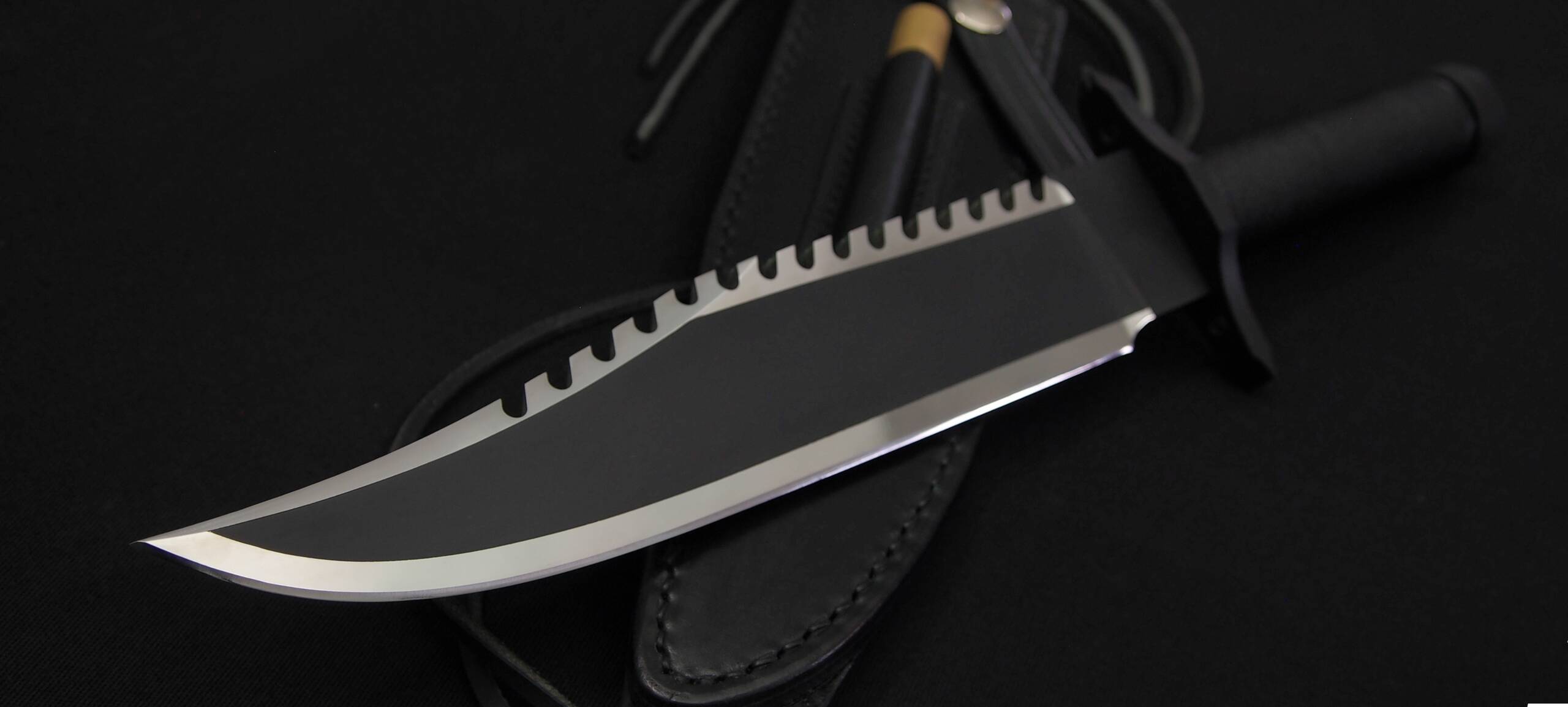Close-up of the Mission blade from the left, with the sawback and the polished edge